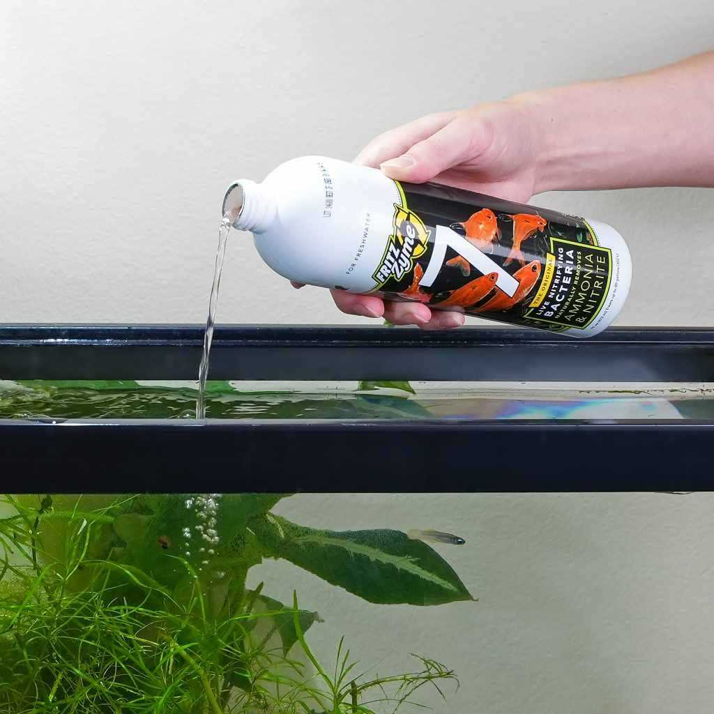 Freshwater Nitrifying Bacteria Z2587