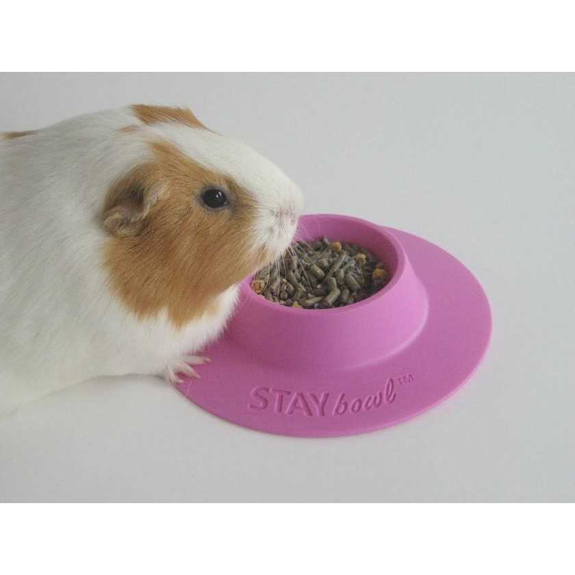 Tip-Proof Bowl for Guinea Pigs and Small Pets K2127