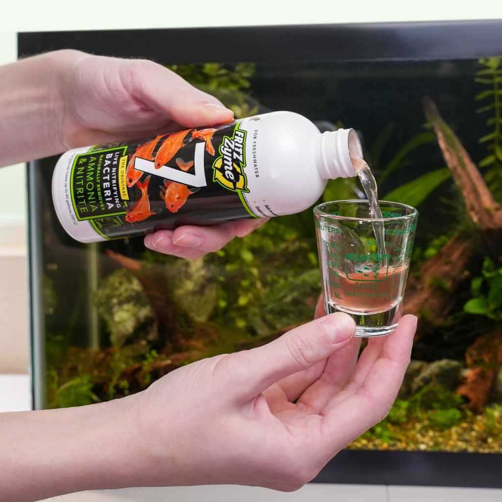 Freshwater Nitrifying Bacteria Z2587