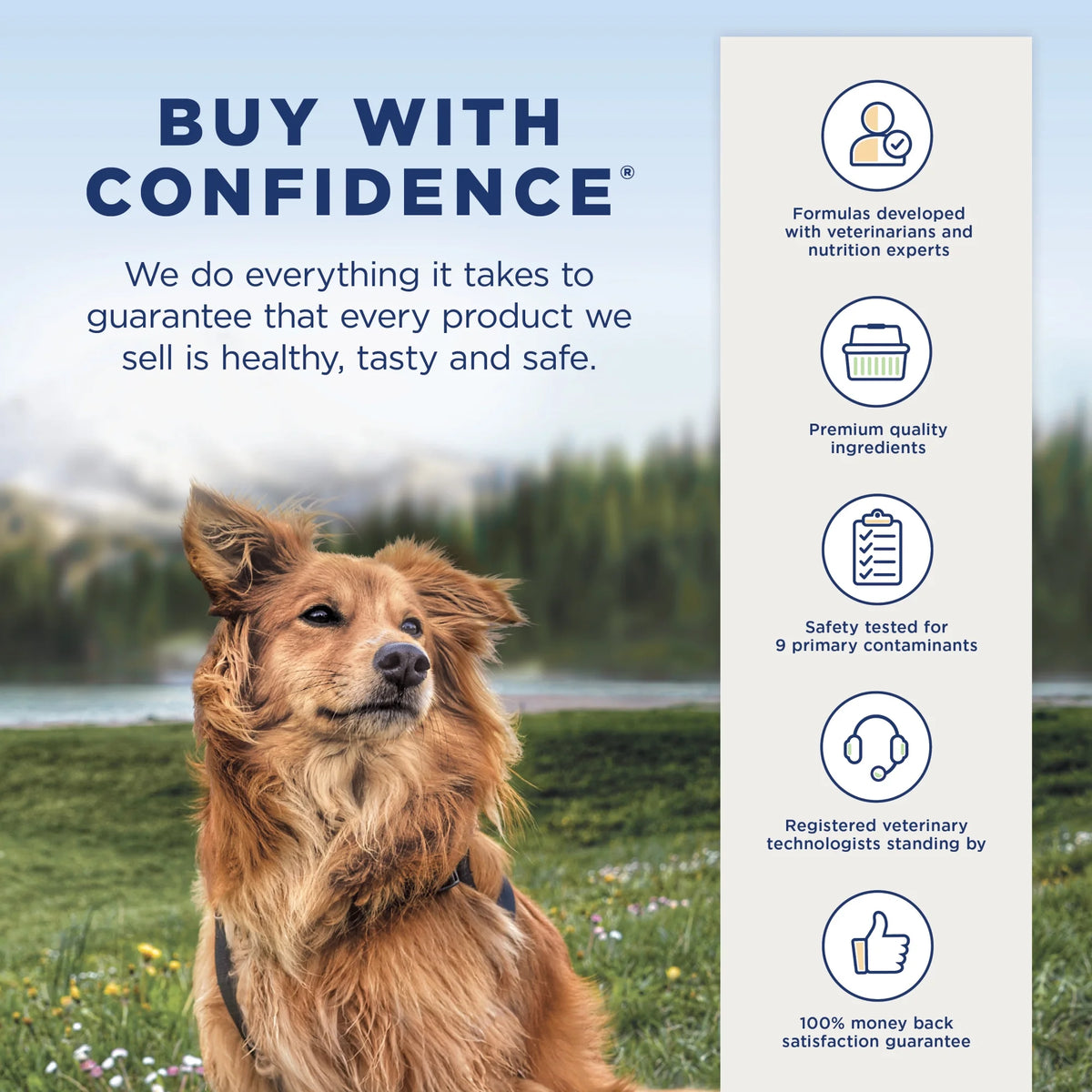 4 Pounds Limited Ingredient Dry Dog Food Q767315