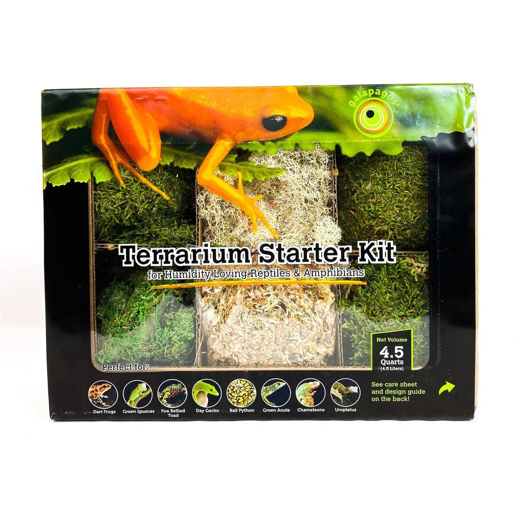Terrarium Starter Kit L5137