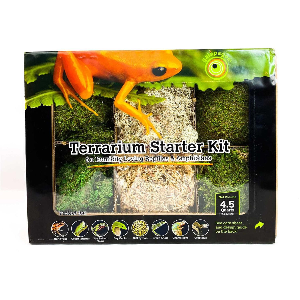 Terrarium Starter Kit L5137