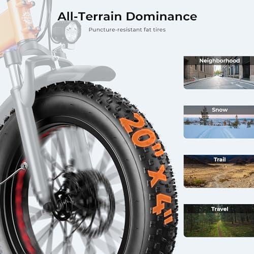 Foldable Fat Tire Electric Bike with 48V 12.5Ah Removable Battery F2149