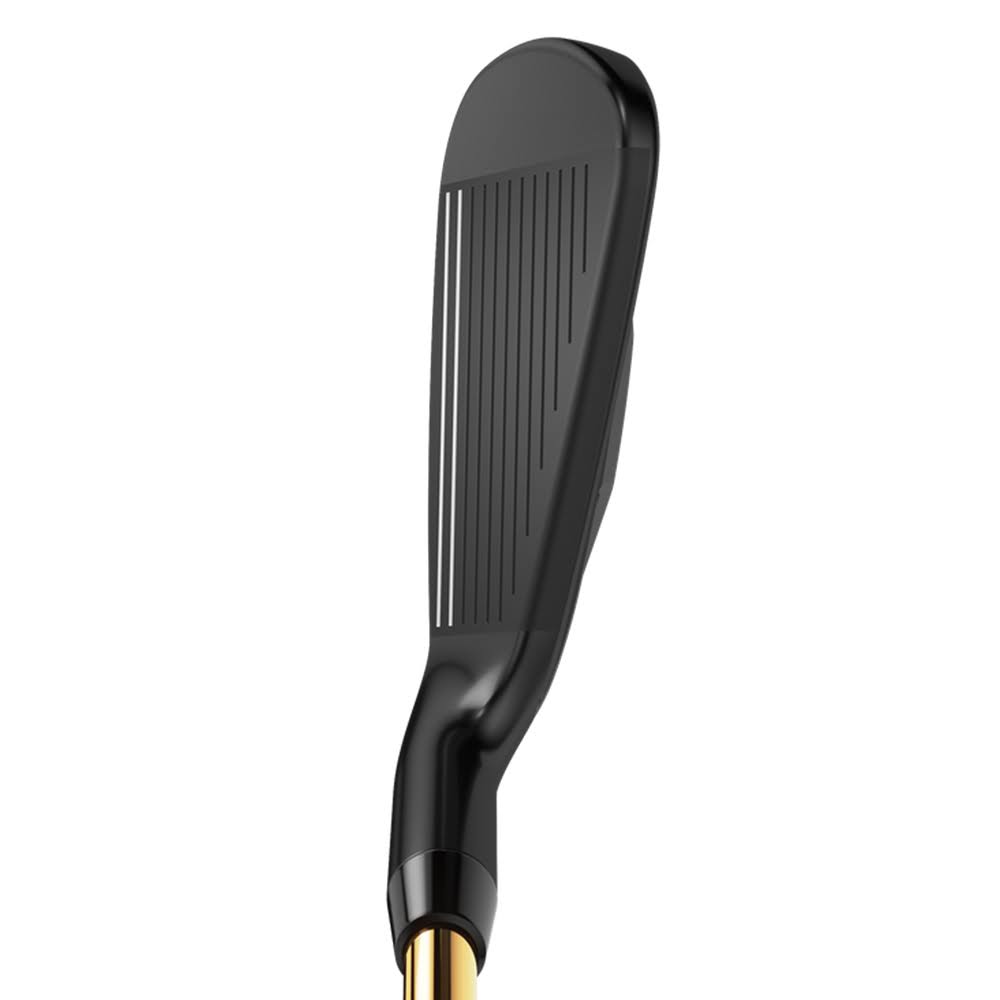 Individual Iron E6253