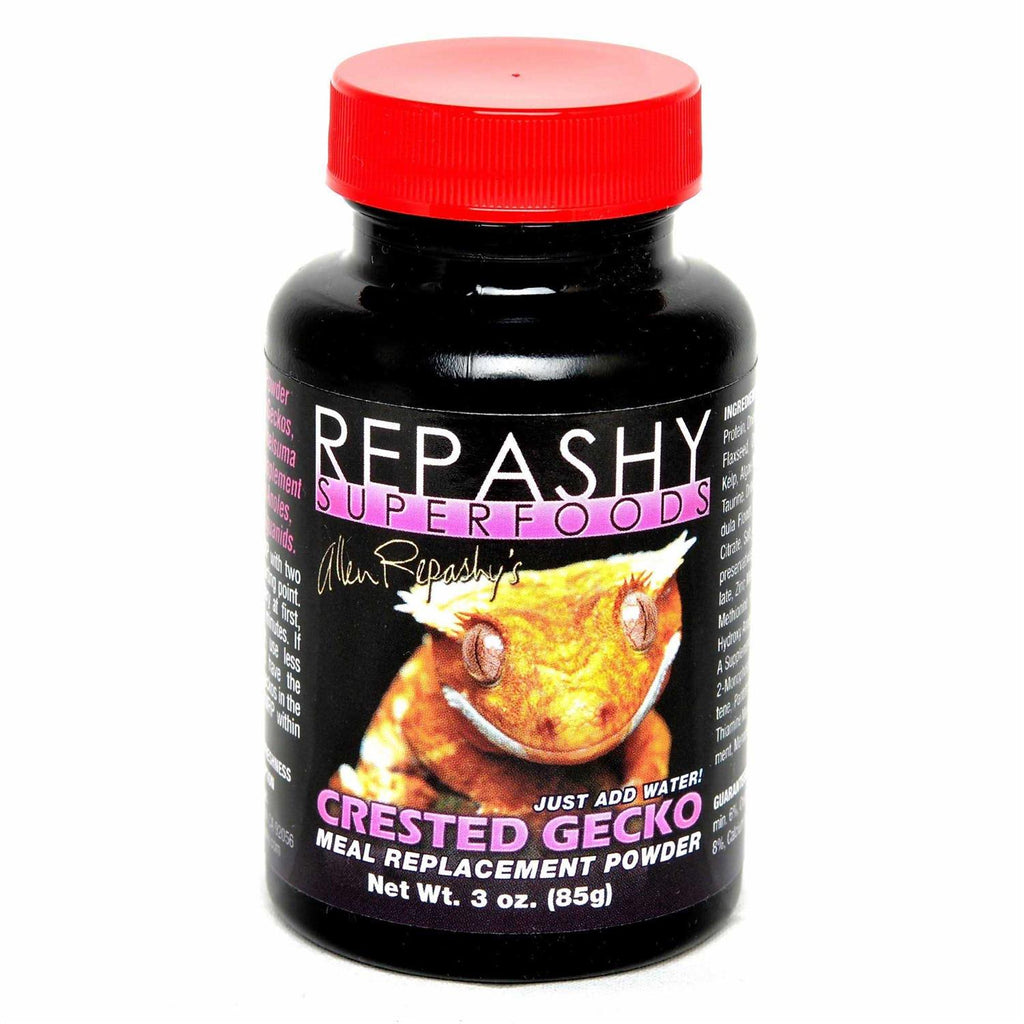 Crested Gecko Pet Supplies B36008
