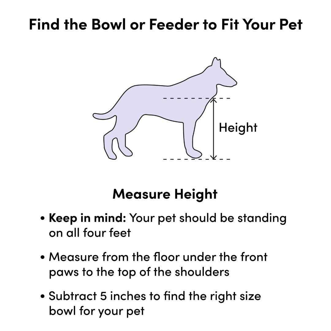 Pet Training and Puppy Pad Holder Q563