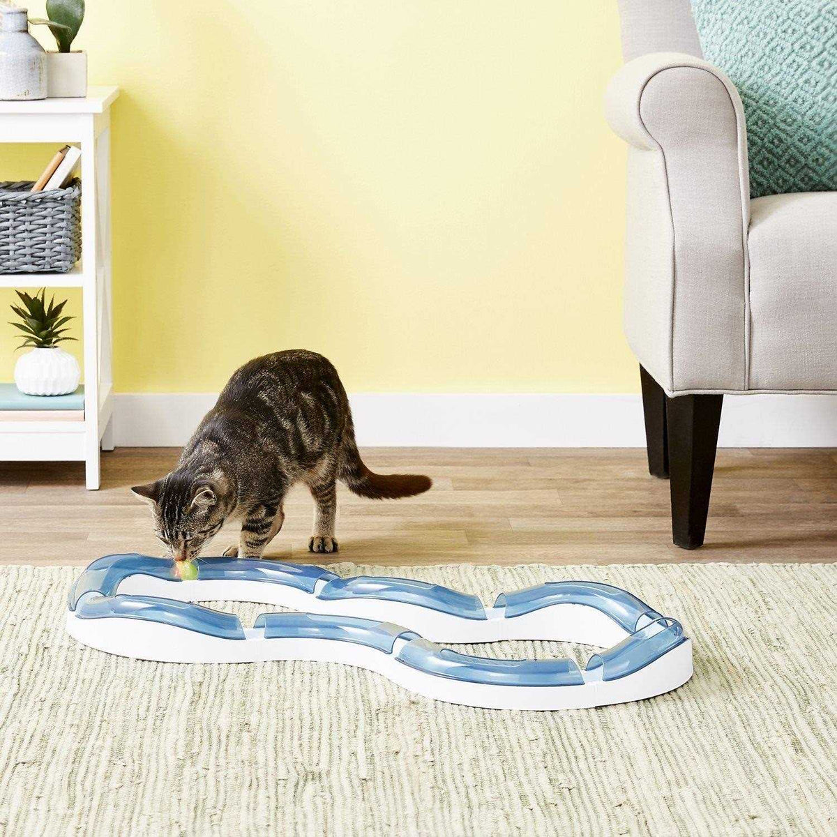 Super Roller Circuit Cat Toy T688995