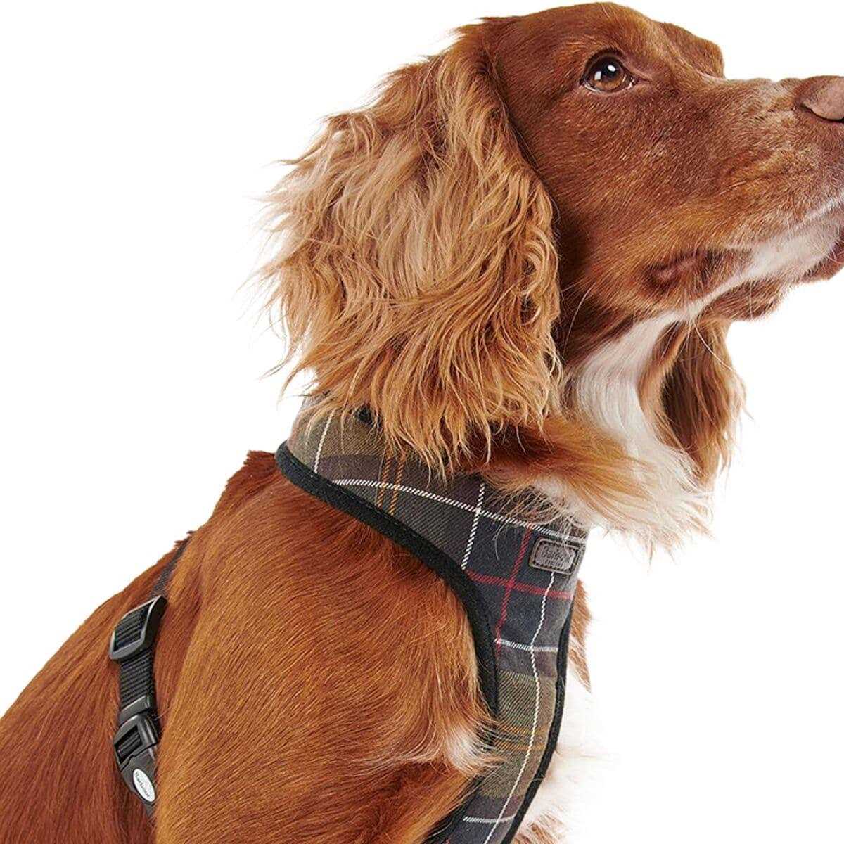 Tartan Dog Harness I5401