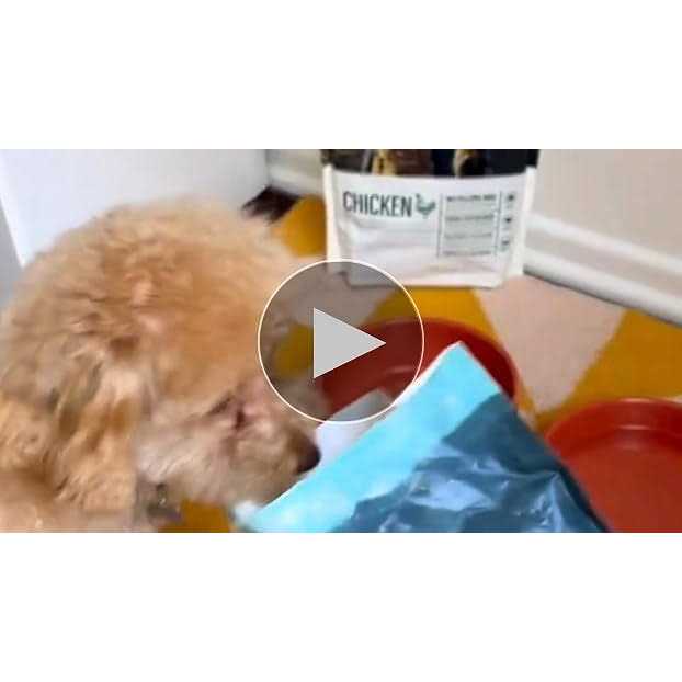 Freeze Dried Raw Complete Meal for Adult Dogs K9314