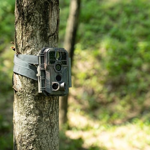 48MP 1296p Night Vision Waterproof Trail Camera W864