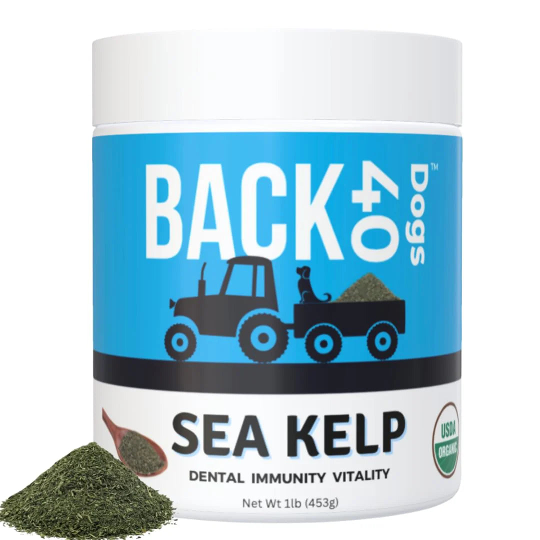 Kelp Powder Dog Supplement 453g U2759