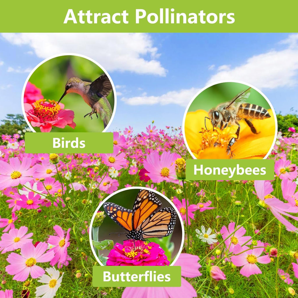 1.75 Ounce Wildflower Seeds Mix J5777