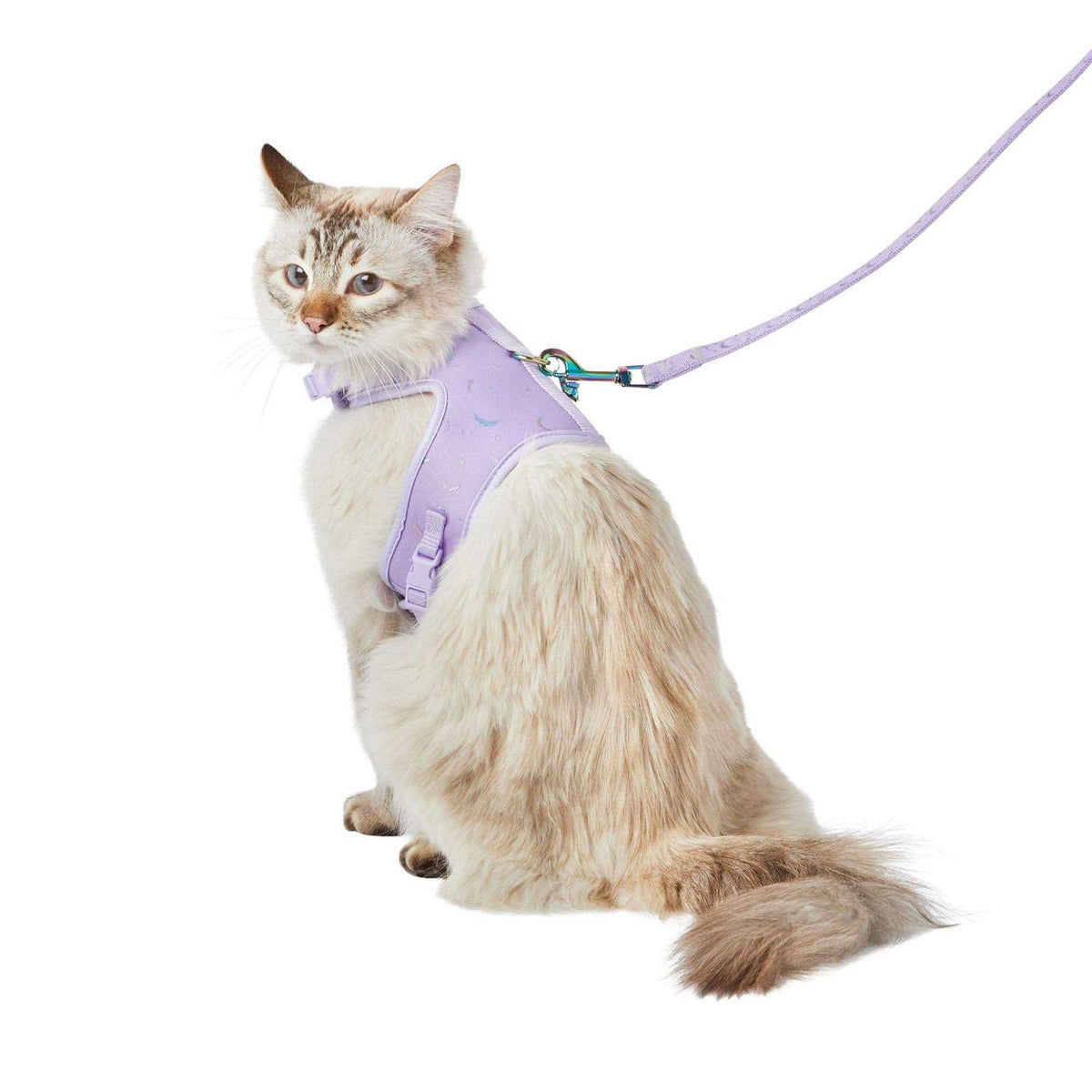 Cat Leash & Harness Combo M598