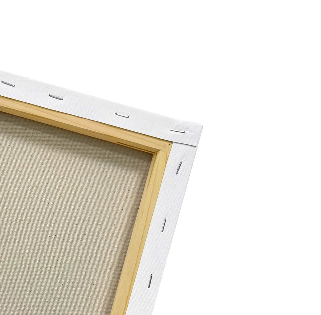 Decorative Canvas Wall Art J124