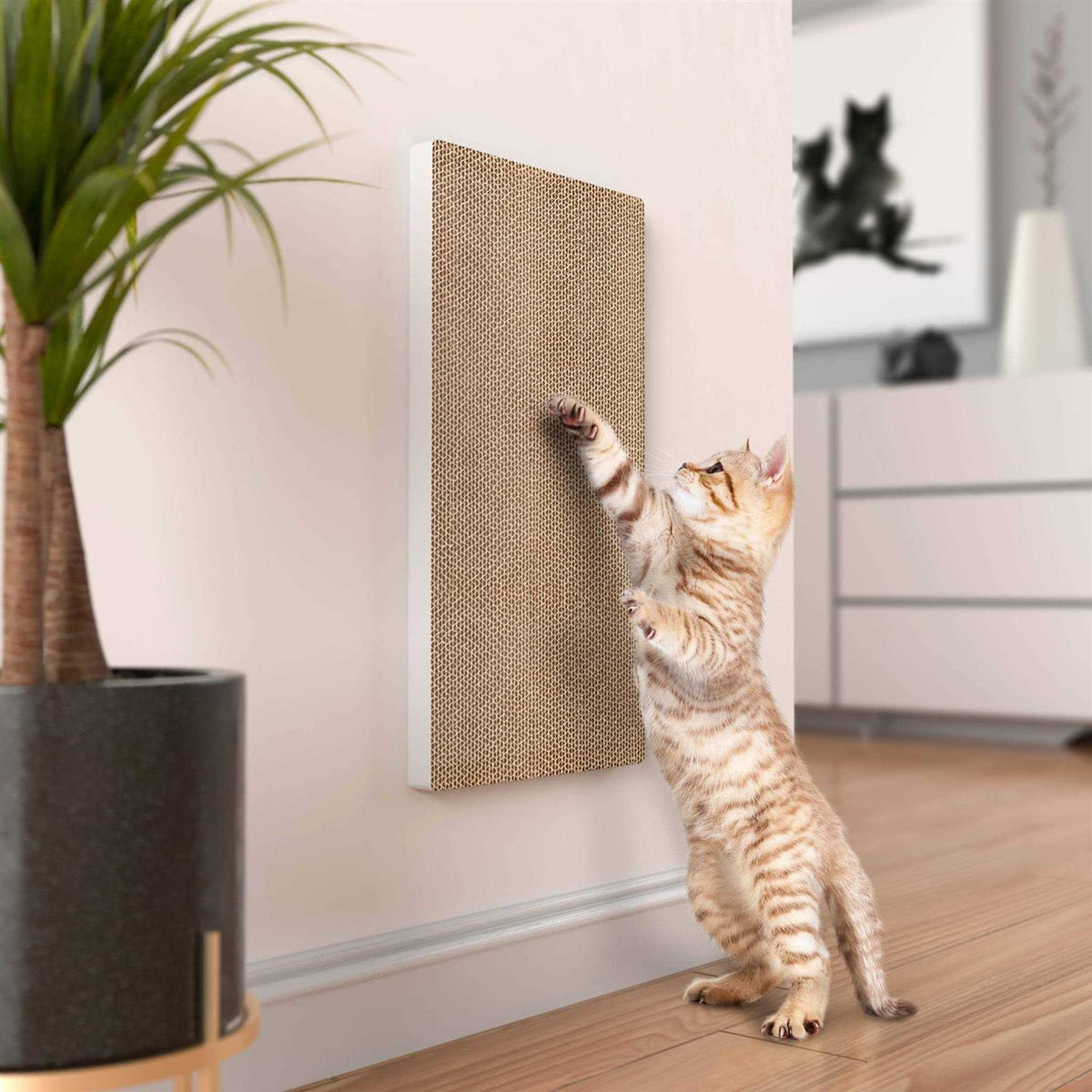 Wall Mount Cat Scratcher with Silvervine Catnip F52179