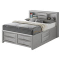 Queen Storage Bed Silver Champagne K6373