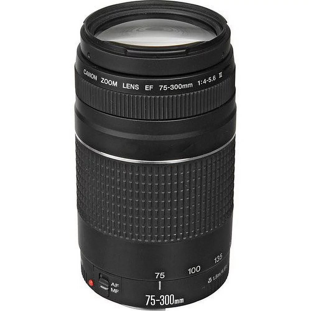Digital SLR Camera Bundle with 24-105mm, 75-300mm, 50mm Lenses X42129