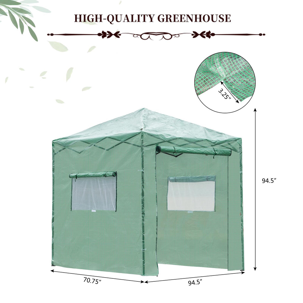 Greenhouse Pop Up Plant C59102