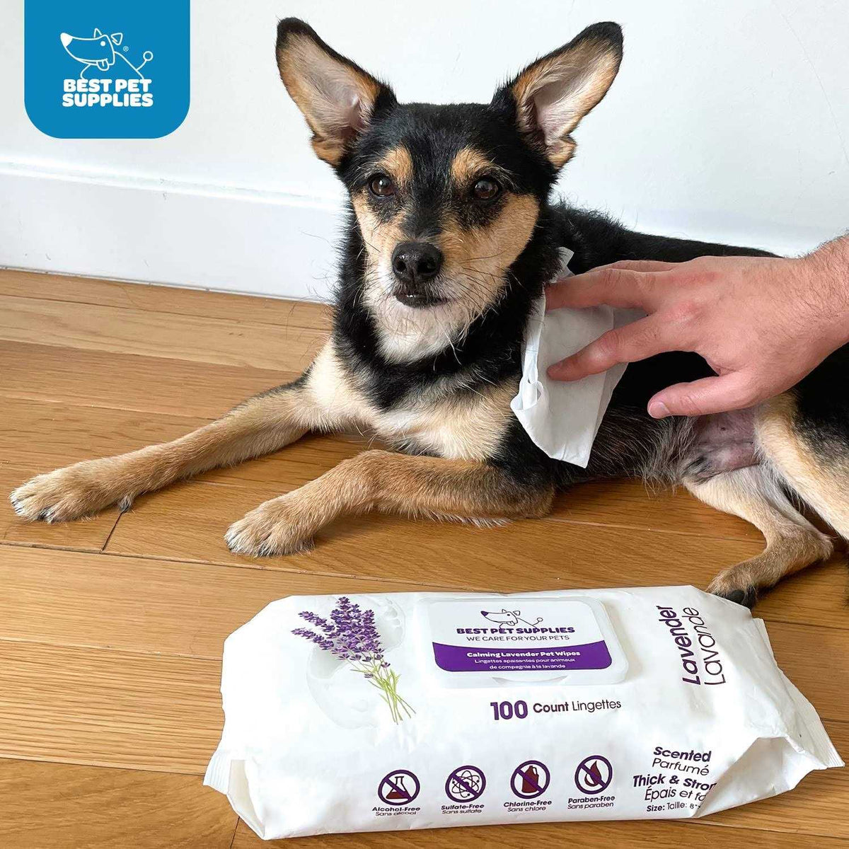 Pet Grooming Wipes for Dogs & Cats, 400 Pack K93152