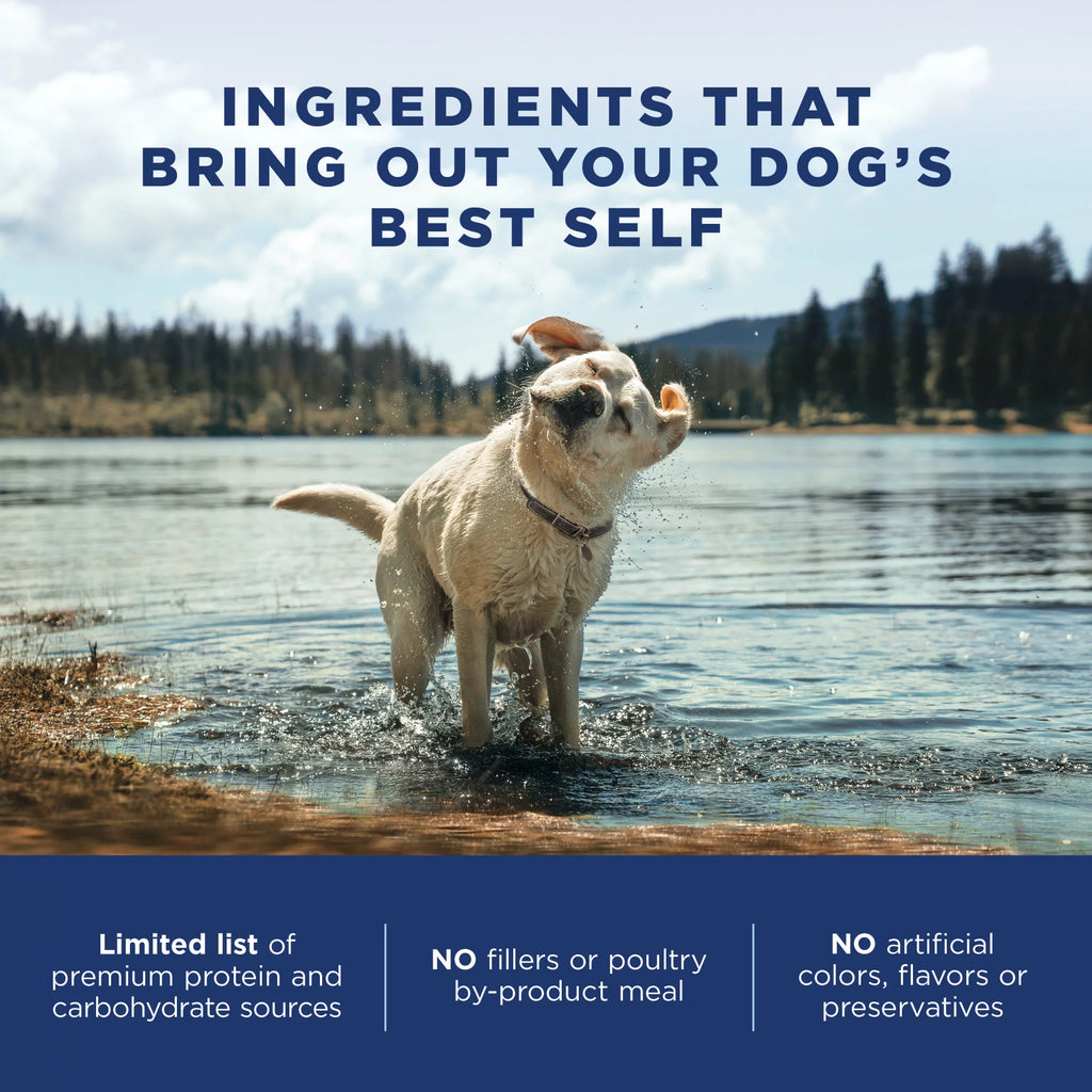 4 Pounds Limited Ingredient Dry Dog Food Q767315