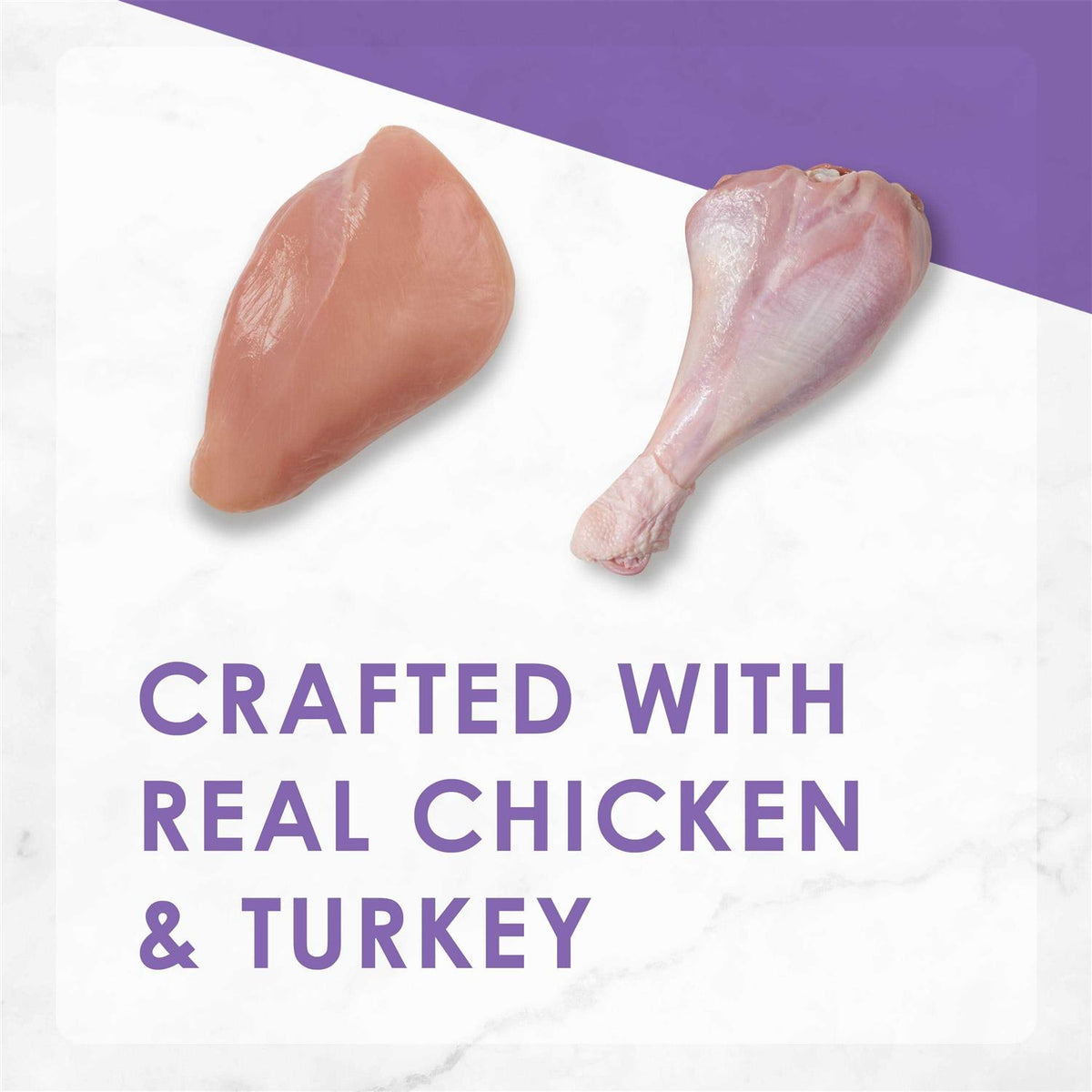 Dry Cat Food Savory Chicken Turkey T815