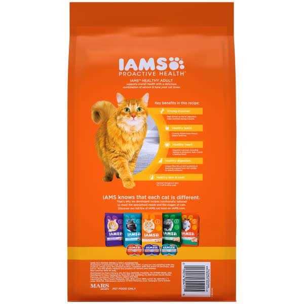 Salmon Adult Dry Cat Food K653158