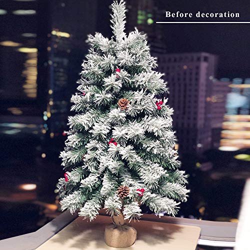 20 Inch Pre-Lit Artificial Mini Christmas Tree with 40 LED Lights V24651