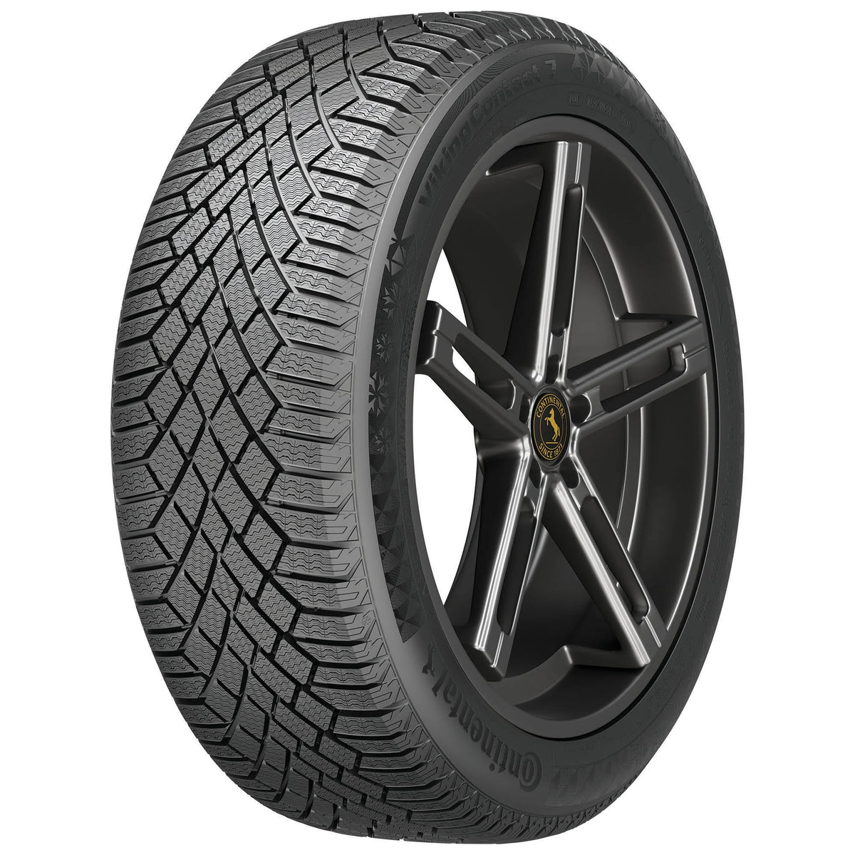 Winter Passenger Tire D545