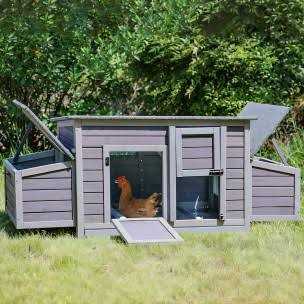 Chicken Coop with 2 Nesting Boxes Z9189