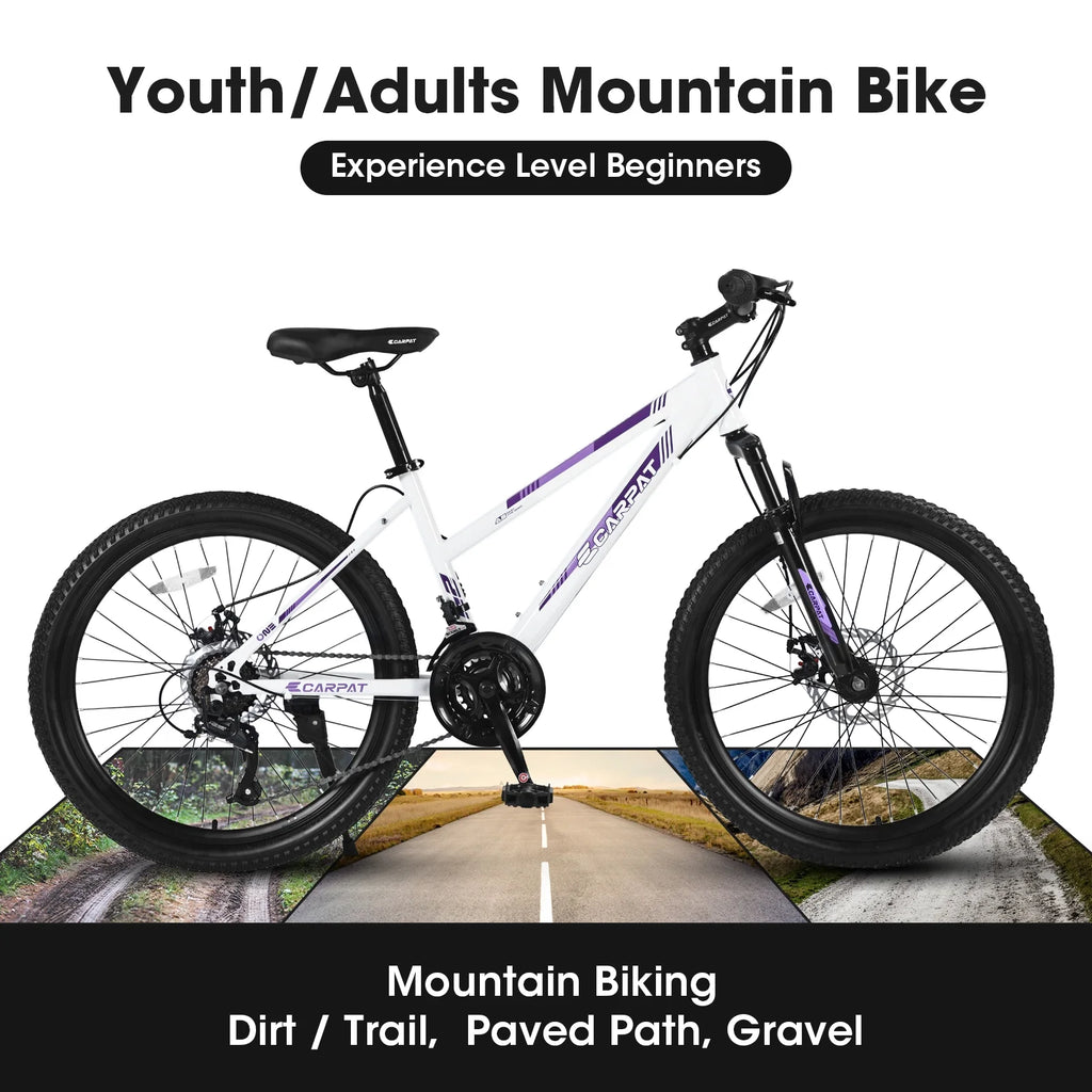 24 inch Mountain Bike with 21 Speeds Gear and Dual Disc Brakes O523755