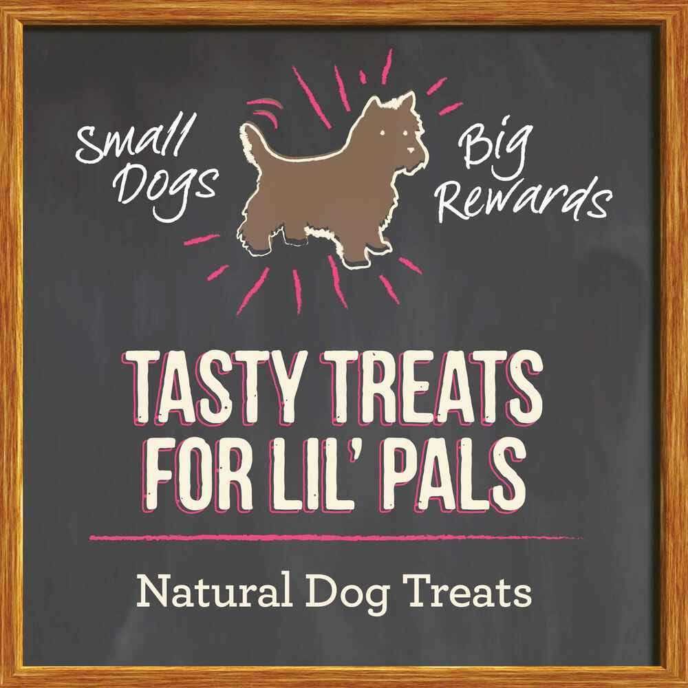 Small Recipe Dog Treats M719