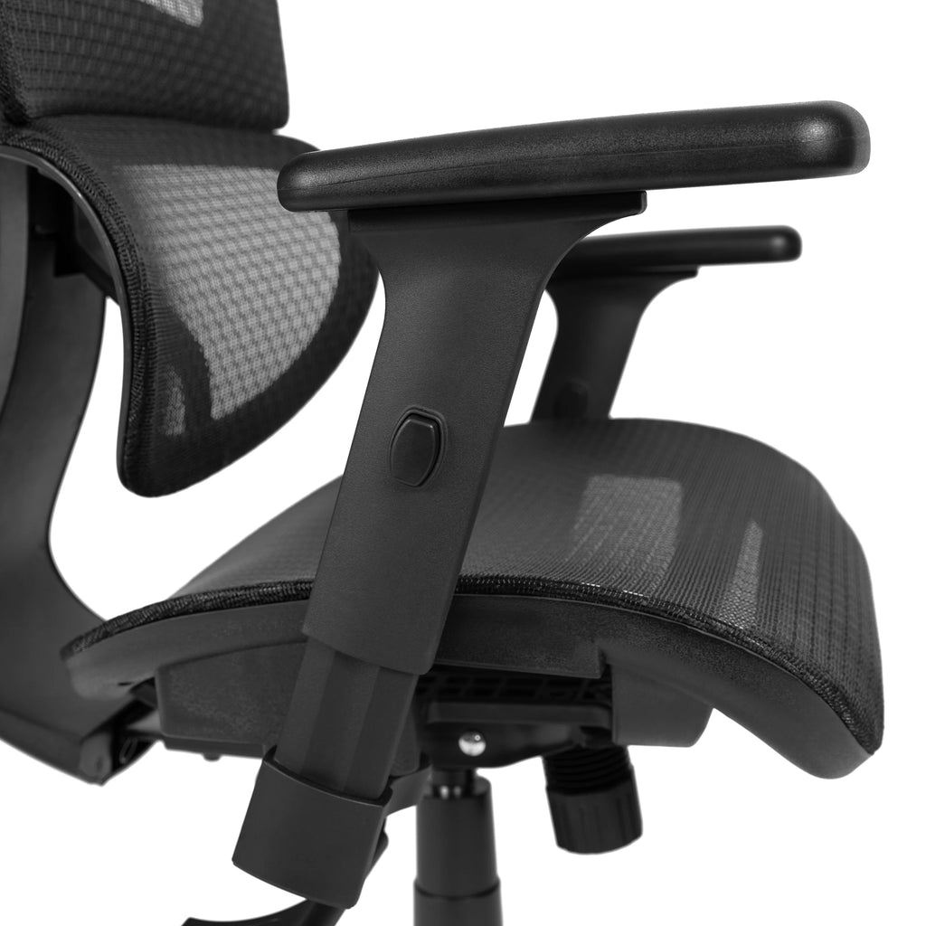 Ergonomic Mesh Office Chair with Lumbar Support in Black M71241