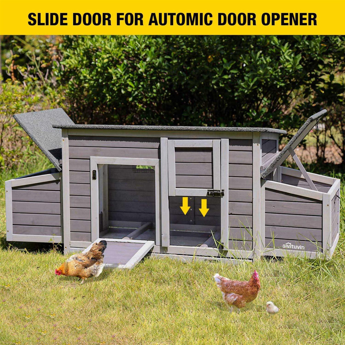 Chicken Coop with 2 Nesting Boxes Z9189