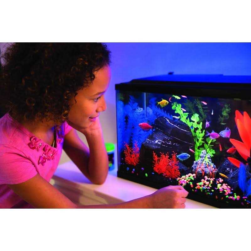 20 Gallon Aquarium Kit with LED Lights Decor Heater and Filter M39980