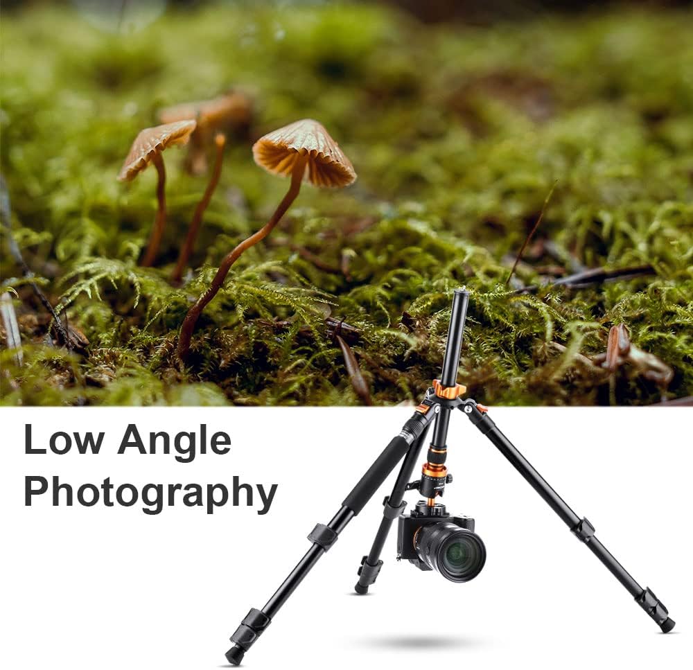 62 inch Aluminum DSLR Camera Tripod with Ball Head U374