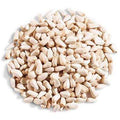 50 lbs Safflower for Wild Bird Feed V550