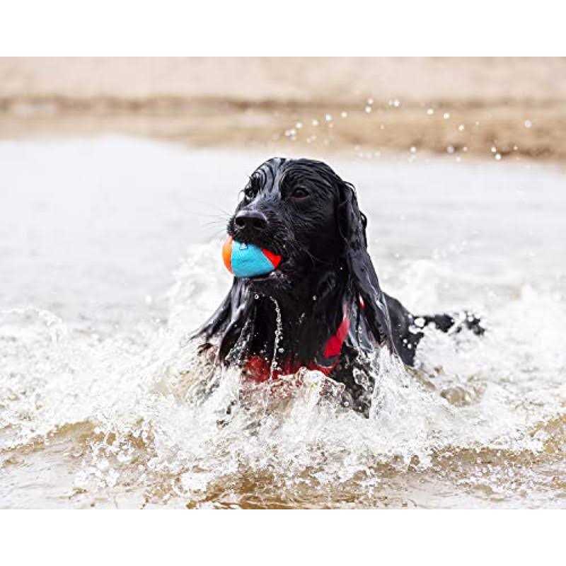 TPR Squeak Ball M638676