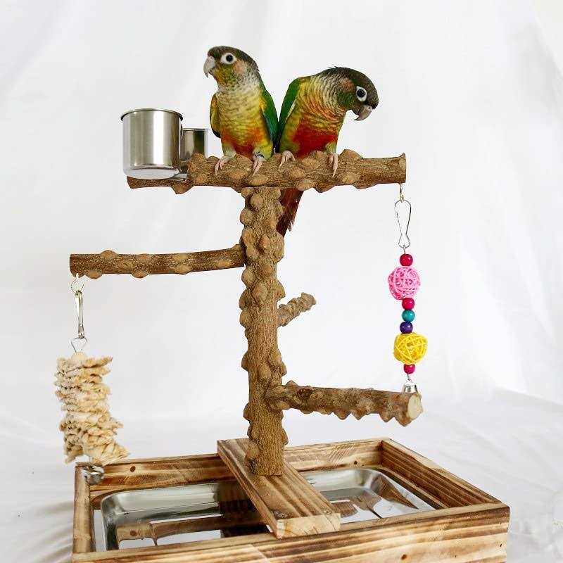 Wood Bird Perch Platform Stand M412338