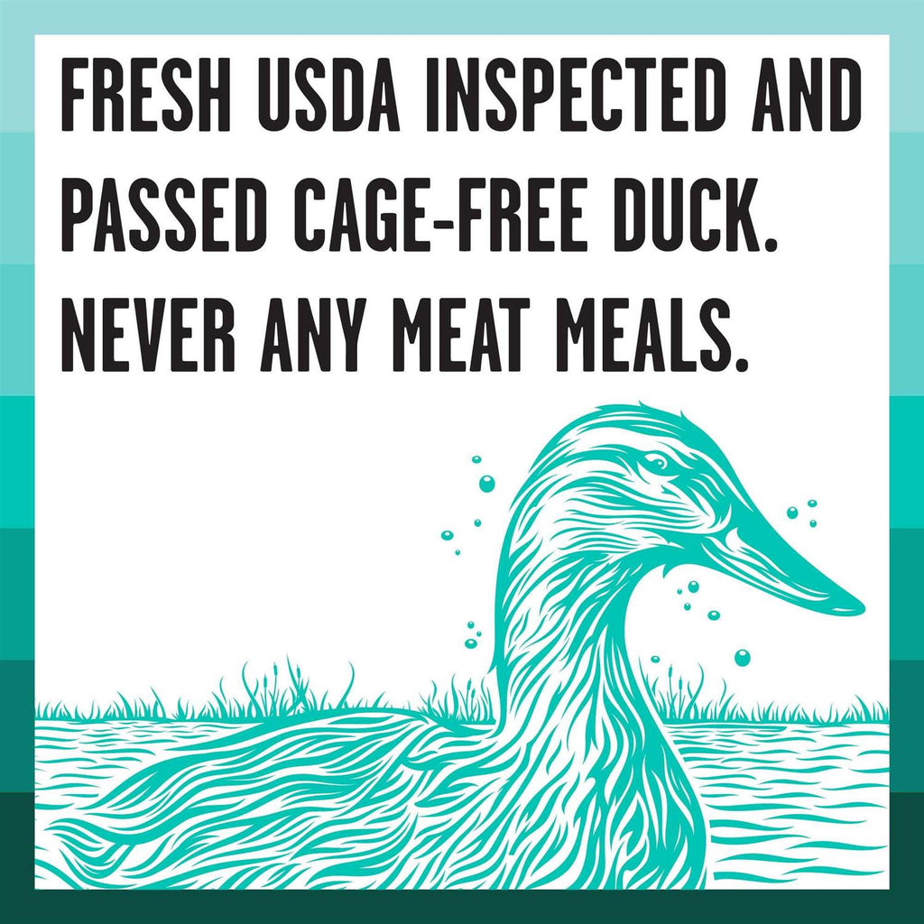 Duck Recipe Dry Dog Food Y3246