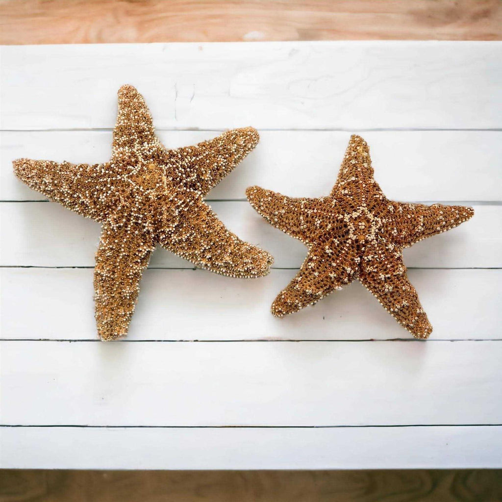 Starfish Decor V347