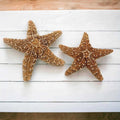 Starfish Decor V347