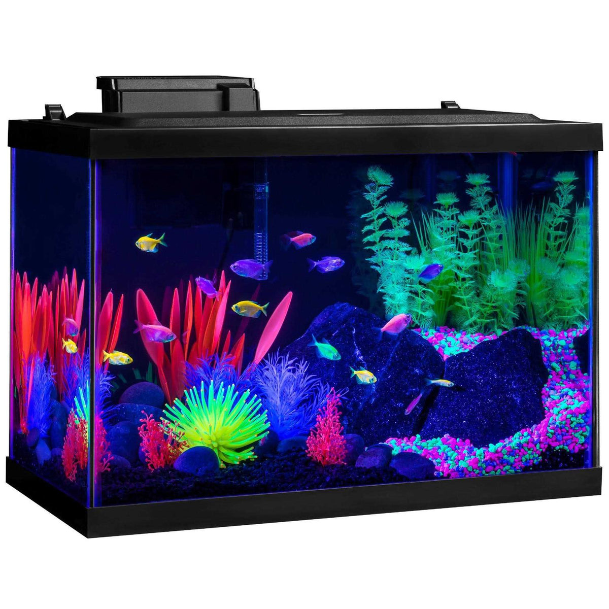 20 Gallon Aquarium Kit with LED Lights Decor Heater and Filter M39980