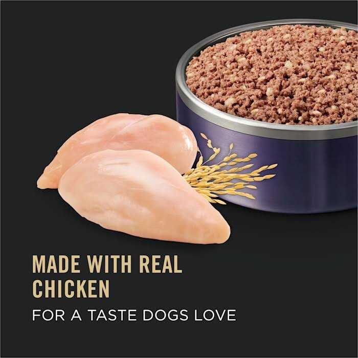 High Protein Wet Dog Food F62337