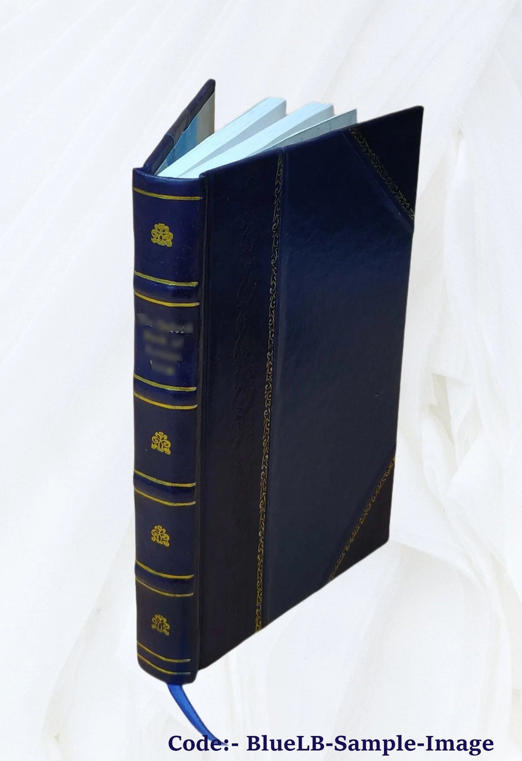 Leather Bound Book Z991491