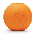 Rubber Chew Toy for Dogs J4362