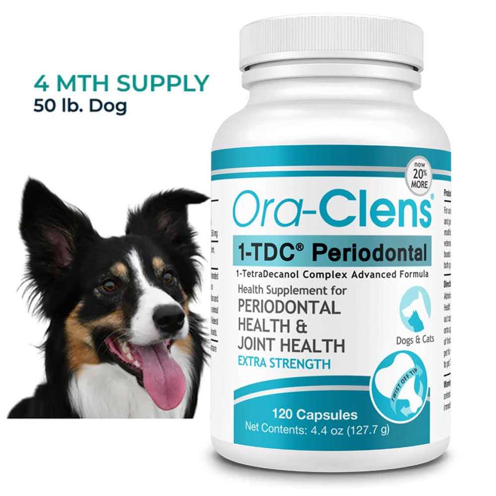 Dog & Cat Supplement E205274