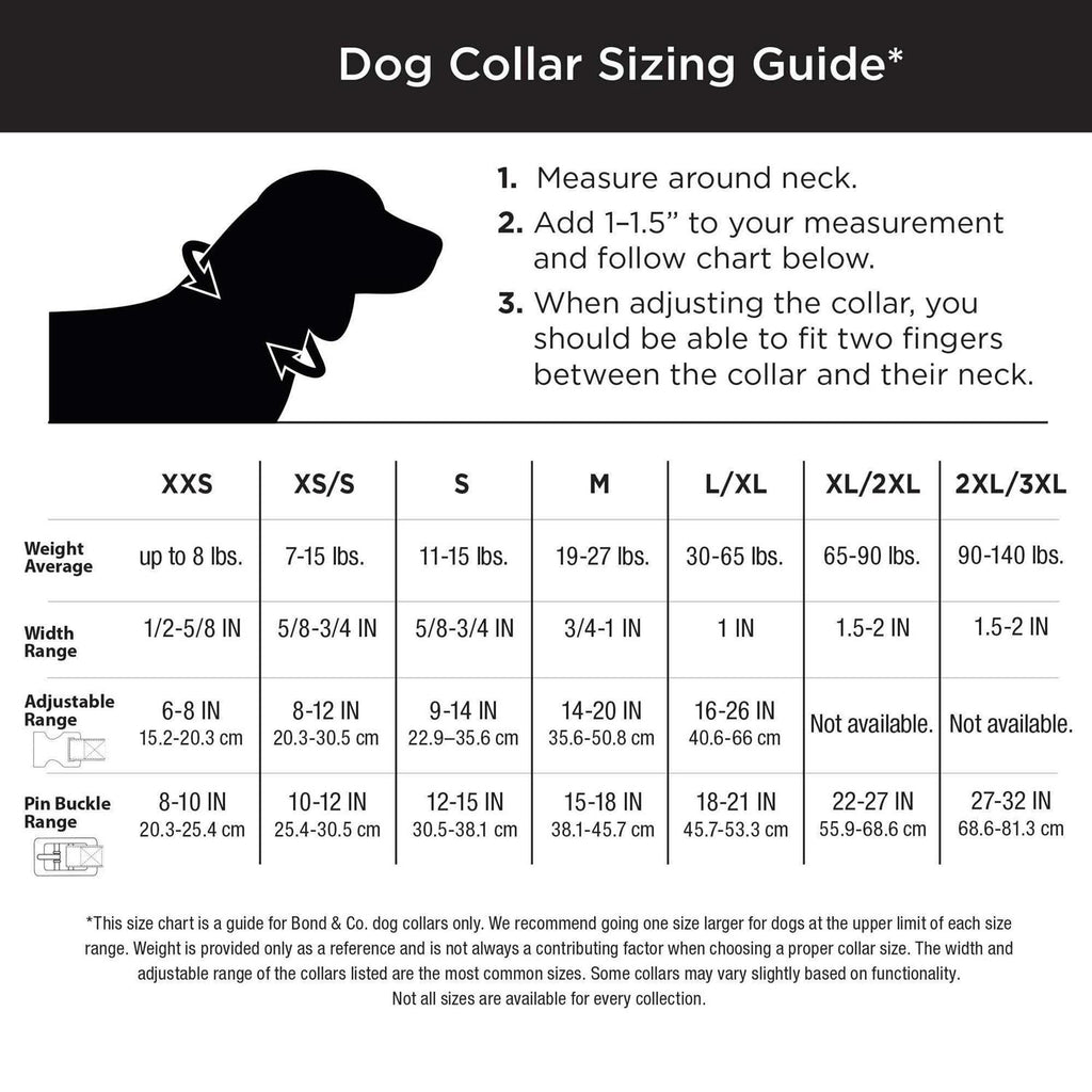 Bling Dog Collar B95837