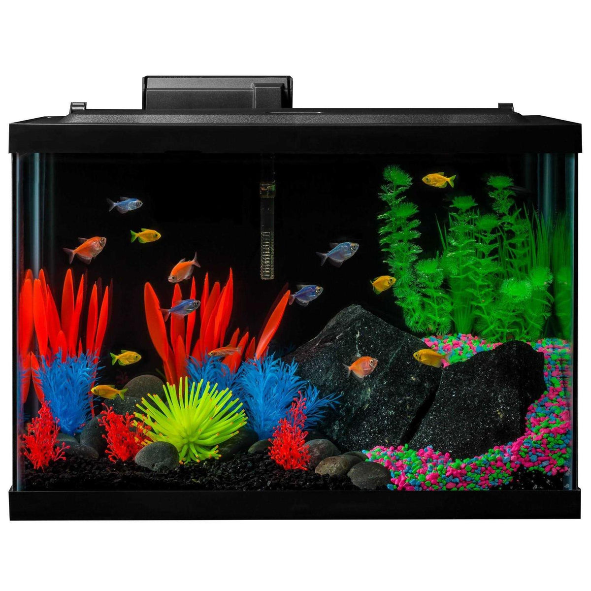 20 Gallon Aquarium Kit with LED Lights Decor Heater and Filter M39980