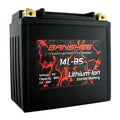 Lithium LiFePO4 Battery J911