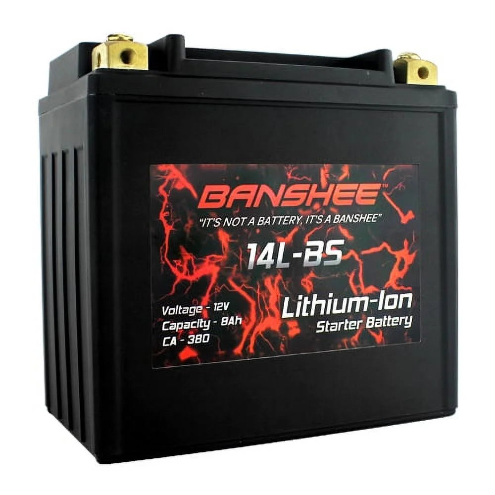 Lithium LiFePO4 Battery J911